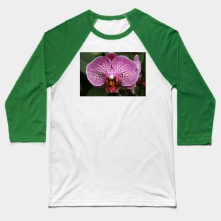 Purple Orchid Baseball T-Shirt